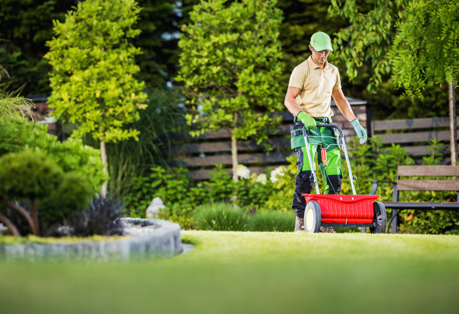 man seeding a manicured lawn